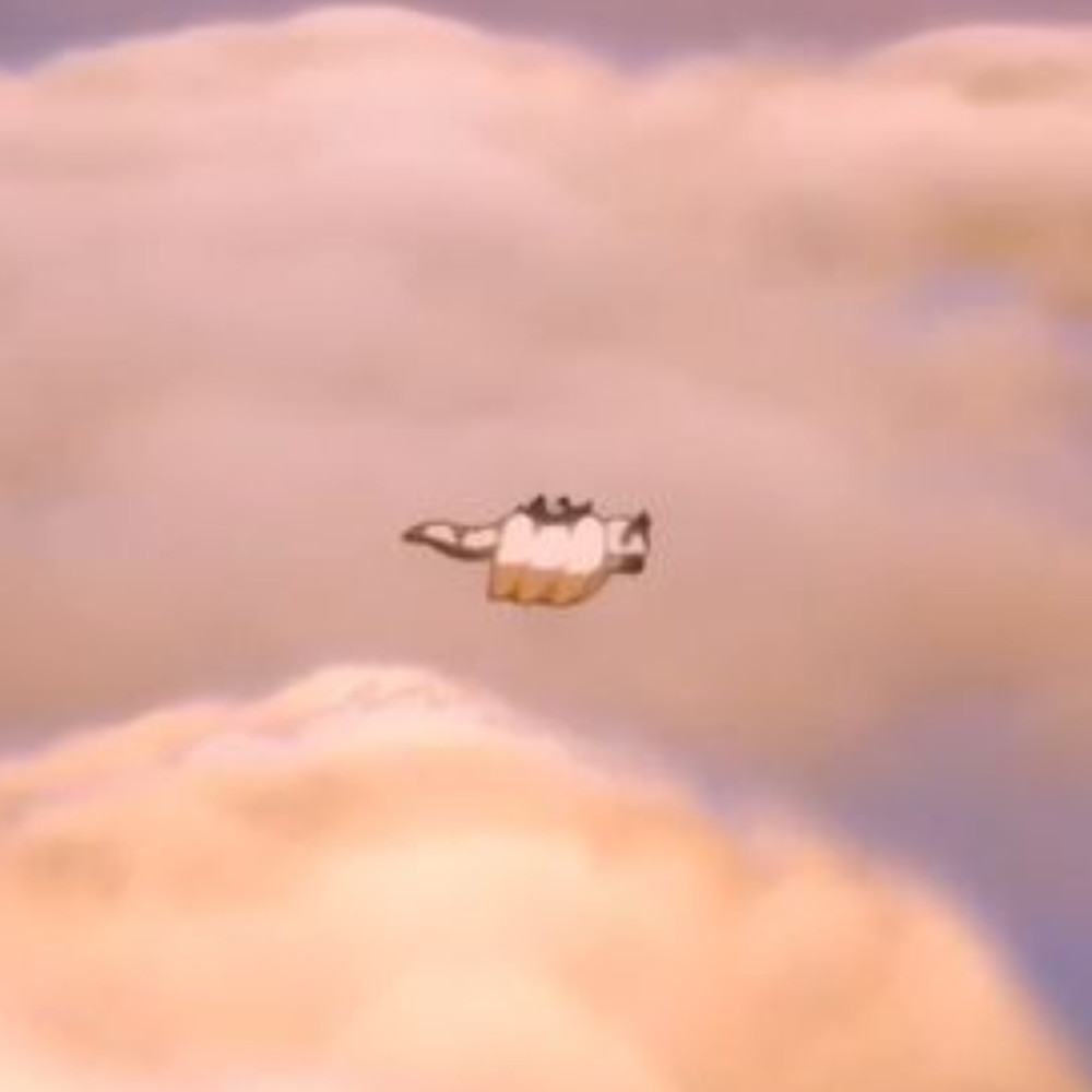 Meet your Posher, Cedar